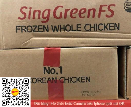 Gà nguyên con Singgreen nhập khẩu Hàn Quốc